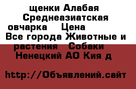 щенки Алабая (Среднеазиатская овчарка) › Цена ­ 15 000 - Все города Животные и растения » Собаки   . Ненецкий АО,Кия д.